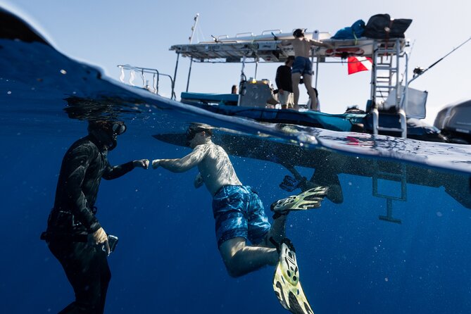 Offshore Safari Adventure in Kona With Underwater Photos - Preparing for Your Offshore Safari