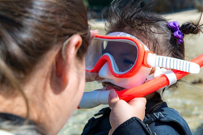 OK From 2 Years Old! / Sea Picnic & Snorkel - Booking and Cancellation Policy