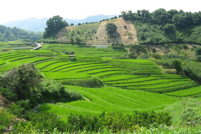 Okayama Half-Day Private Trip With Government-Licensed Guide - Exploring Korakuen Garden