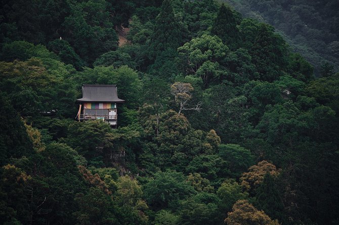 Okinawa Private Customizable 6-Hour Tour By Private Vehicle - Tour Logistics