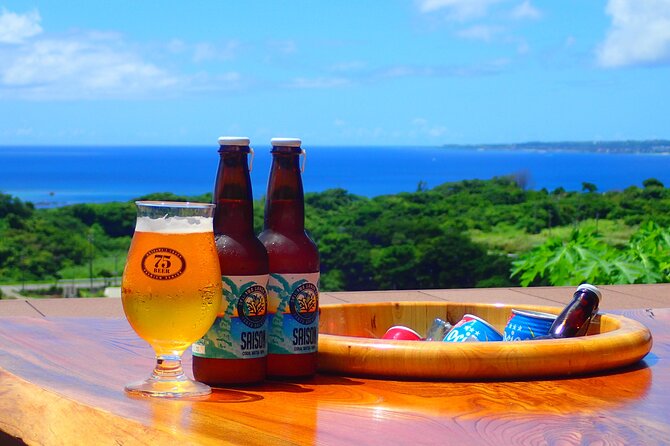 Okinawa Scuba Diving for Certified Divers (3 Boat Dives + Lunch) - Rental Gear and Inclusions