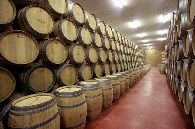 Olive Oil and Navarre Winery Visit With Tastings and Lunch in Small Group Tour - Lunch and Pintxos