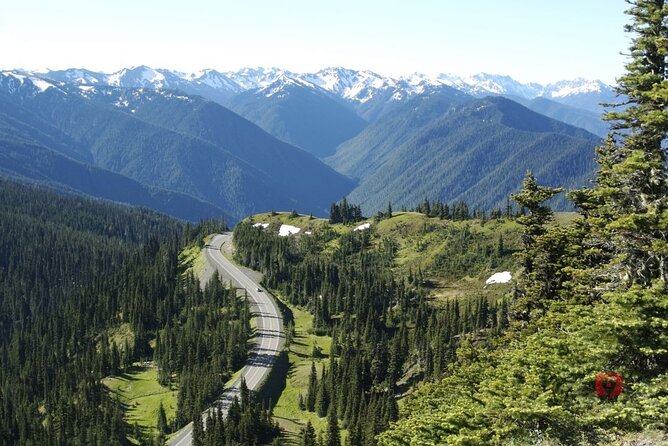 Olympic National Park Audio Tour Review - Customer Feedback