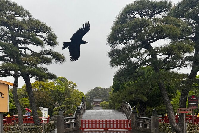 One Day Fully Customize the Tour for Kamakura and Yokohama - Booking and Cancellation Policy