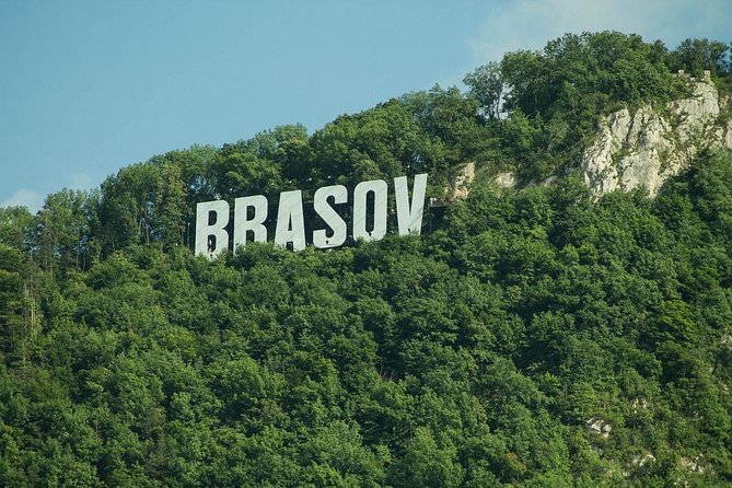 One Day Tour Dracula Castle. Libearty Bear Sanctuary. From Brasov - Booking Process