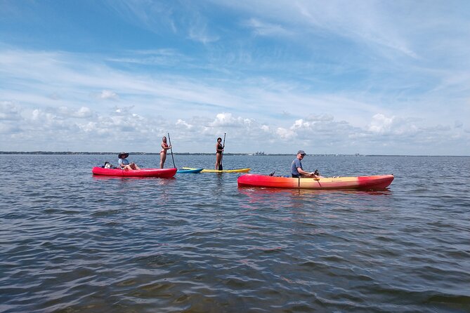 One Single Kayak Rental for 2 Hours With Manatee & Dolphin Sightings! - Wildlife Sightings