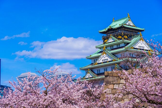 One Way Bus From Kanazawa to Osaka - Participation Guidelines