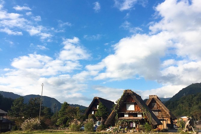 One-Way Bus From Takayama to Osaka via Shirakawago - Traveler Considerations