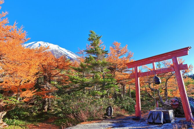 One Way Bus Tokyo to Kawaguchiko via Mt. Fuji 5th Station - Additional Traveler Information