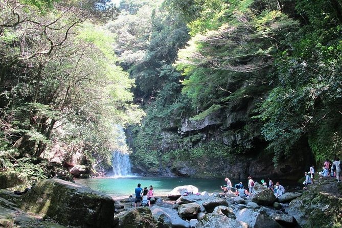 One-Way Day Trip to Nagasaki via Saga From Fukuoka With Minibus7m - Frequently Asked Questions