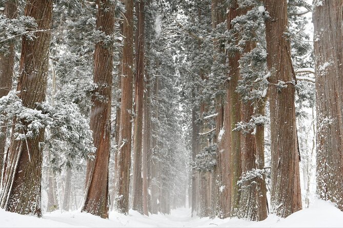 One Way Private Shuttle to Nagano Ski Centers - Ideal for Groups and Families