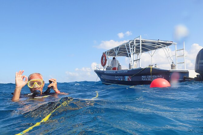 Open Water Diver Course (Padi) - Reviews and Testimonials