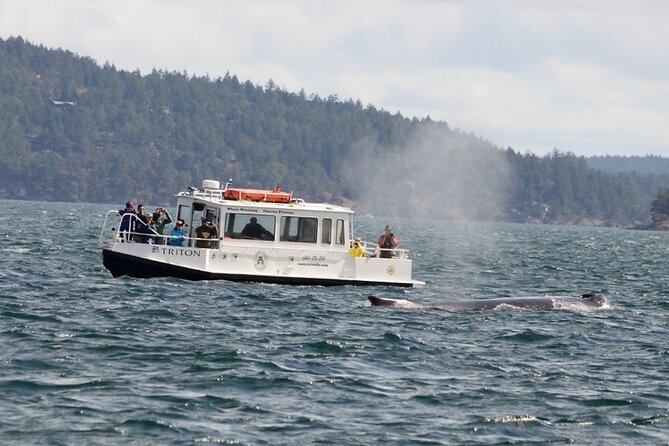 Orcas Island Whale Watching - Transportation and Accessibility