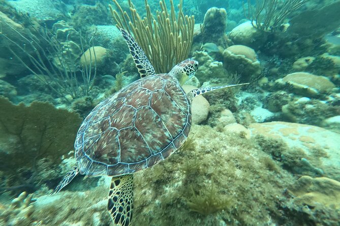 Original Snorkel and Sandbar Combo Review - Booking Information and Cancellation Policy