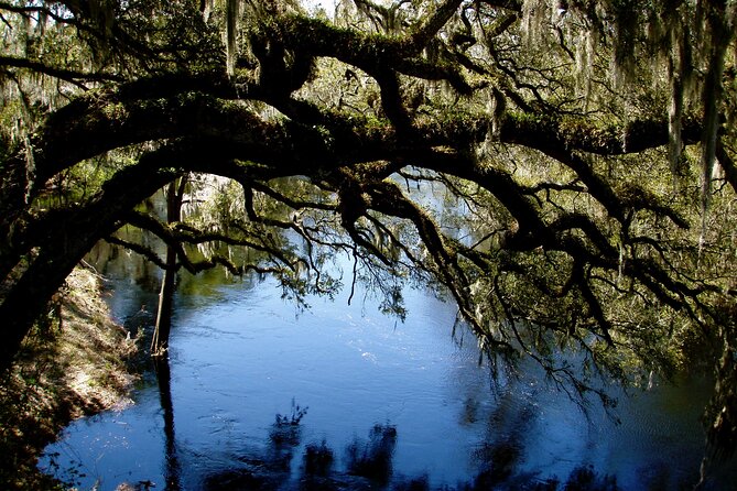 Orlando Alligator Experience - Amenities and Inclusions