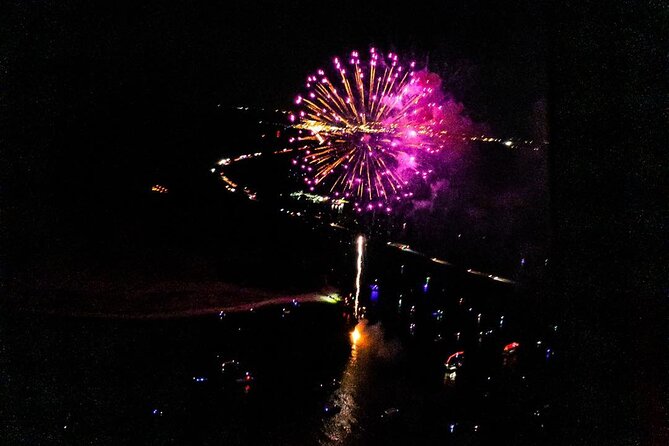 Orlando City Lights and Fireworks Premier Helicopter Tour - Reviews