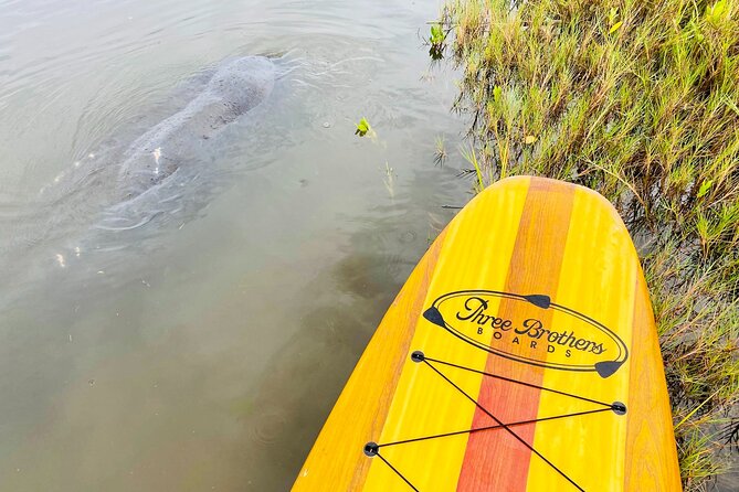 Ormond Beach Manatee and Nature Tour Kayaking or Paddle Boarding - Traveler Testimonials and Recommendations