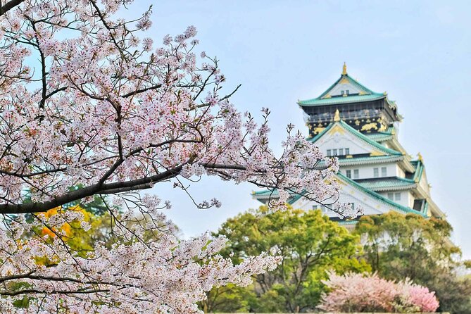 Osaka 6 Hr Private Tour: English Speaking Driver Only, No Guide - Accessibility