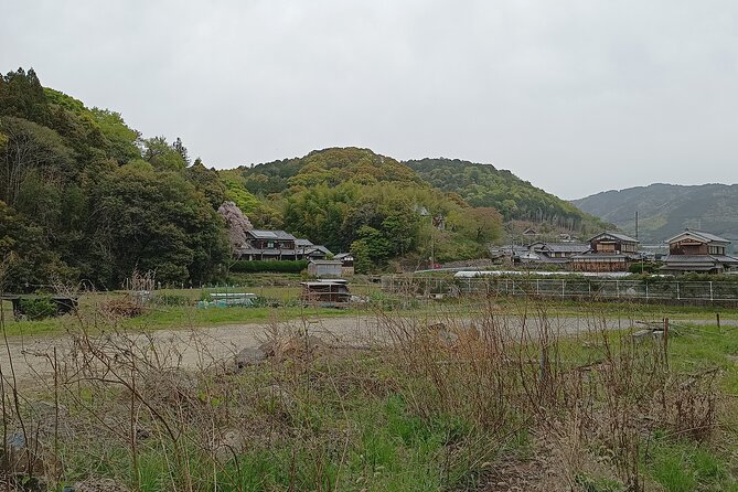 Osaka River Rapids Hike and Natural Hot Spring Tour - Health and Accessibility