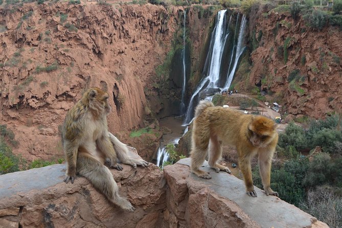 Ouzoud Waterfull – Day Trip From Marrakech