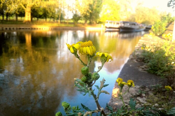 Oxford River Cruise + Walking Tour to Iffley Village - Booking Information