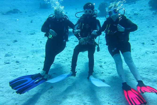 PADI Open Water Course From Hurghada El Gouna Makadi Bay Soma Bay Safaga - Frequently Asked Questions