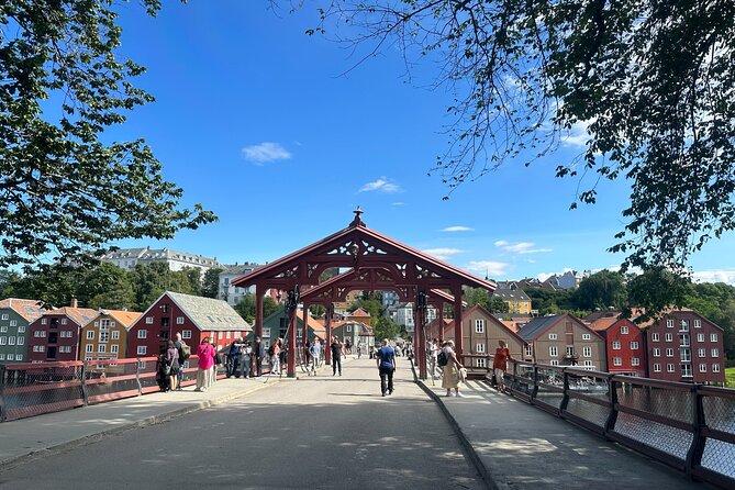 Panorama Bus Tour With Audio Guide - Tour Conditions and Recommendations