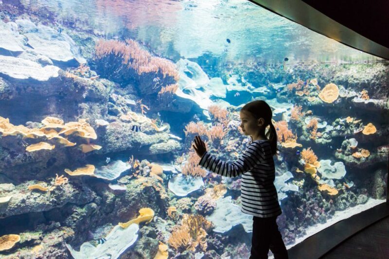 Paris: Aquarium De Paris Entrance Ticket - Accessibility and Language Options