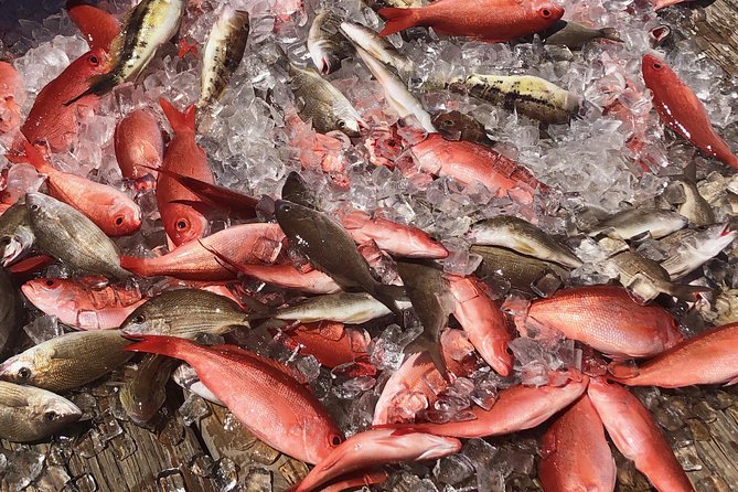 Party/Walk-On Fishing Trip - Customer Feedback
