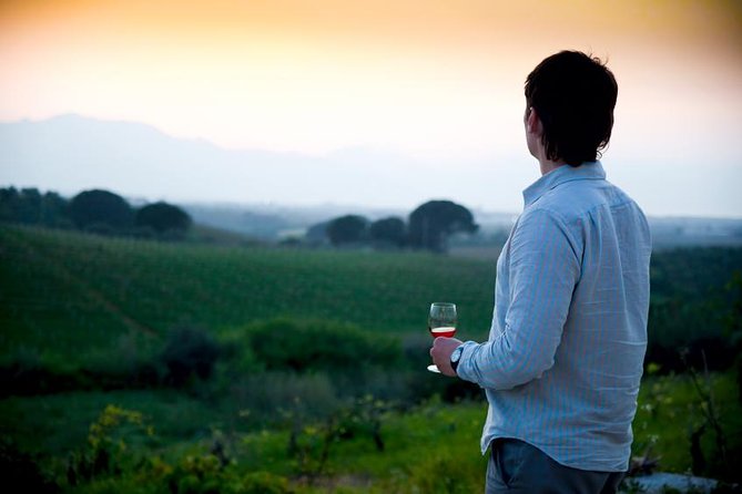 Paso Robles Wine Adventure With Pickup From San Simeon, CA - Picnic Lunch and Amenities