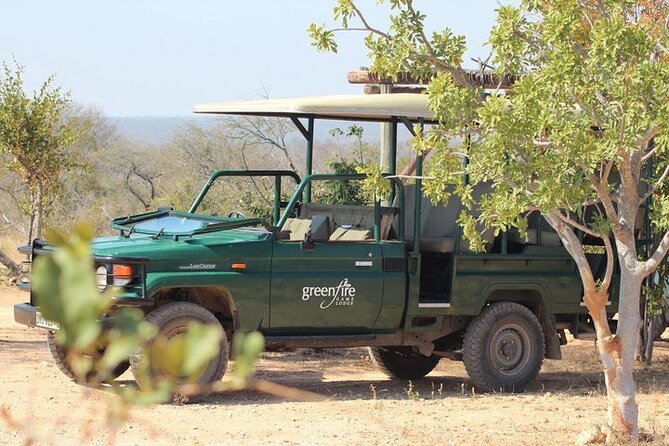 Pilanesberg Full Day Safari - Accessibility Features Available