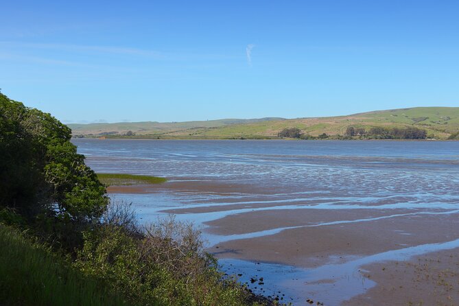 Point Reyes National Seashore Tour Review - Accessibility and Support