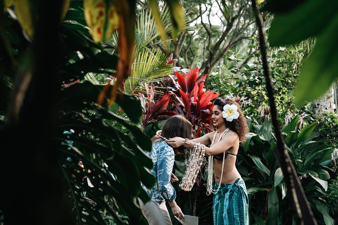 Polynesian Show and Dining Experience Review - Accessibility and Policies