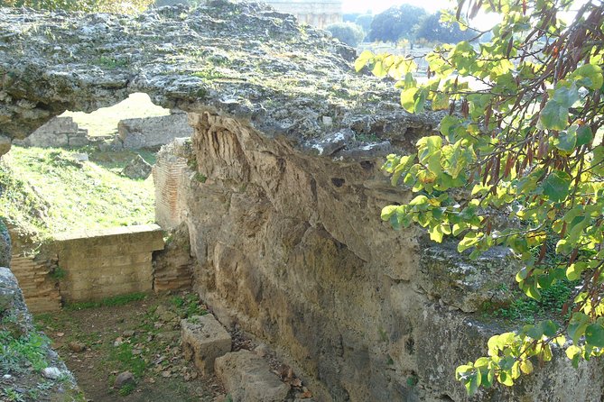 Pompeii and Paestum Fullday From Naples or Sorrento or Positano or Amalfi - Tipping and Infant Seat