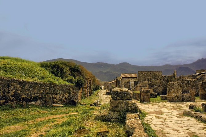 Pompeii - Private Historic Walking Tour - Pricing and Group Size