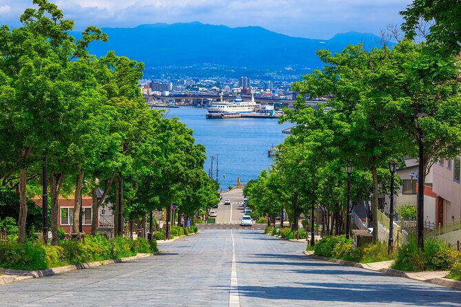 Port Pick-Up: Hakodate Tour With Licensed Guide and Vehicle - Booking Information