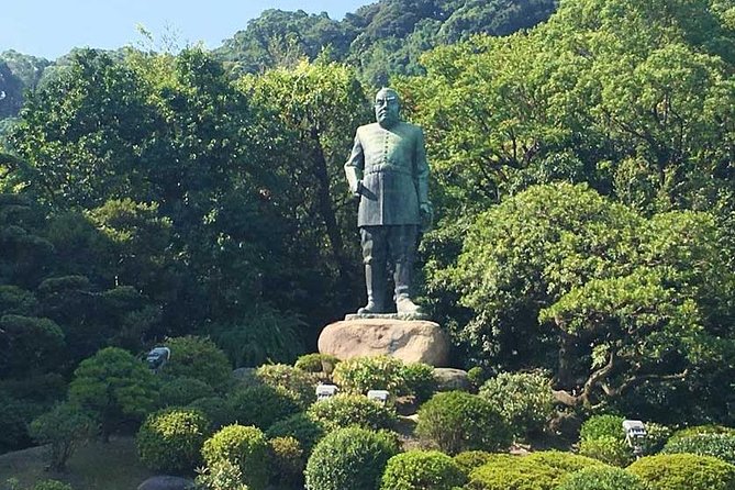 Port Pick-Up: Kagoshima Private Tour Licensed Guide ＆ Vehicle - Transportation and Guide Services
