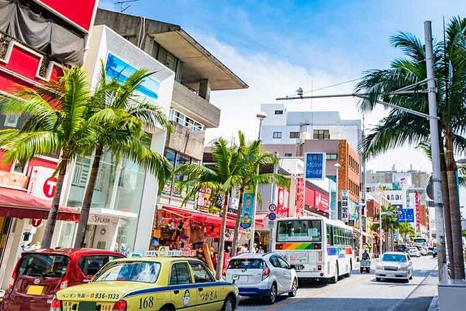 Port Pick-Up: Naha Private Tour Licensed Guide＆ Vehicle - Customizable Itinerary