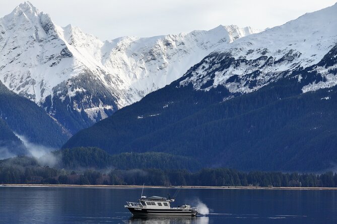 Premier Whale Watching and Wildlife Tour - Sightings and Wildlife Encounters