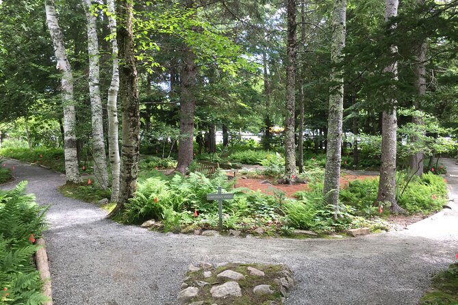 Premium Narrated Bus Tour of Bar Harbor and Acadia National Park (3.5 Hours) - Tour Guide and Commentary
