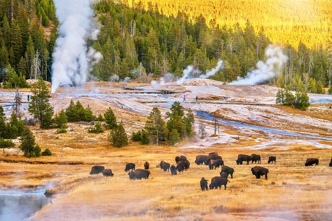 Private 2-Day Yellowstone Tour Review - Booking Information and Reviews