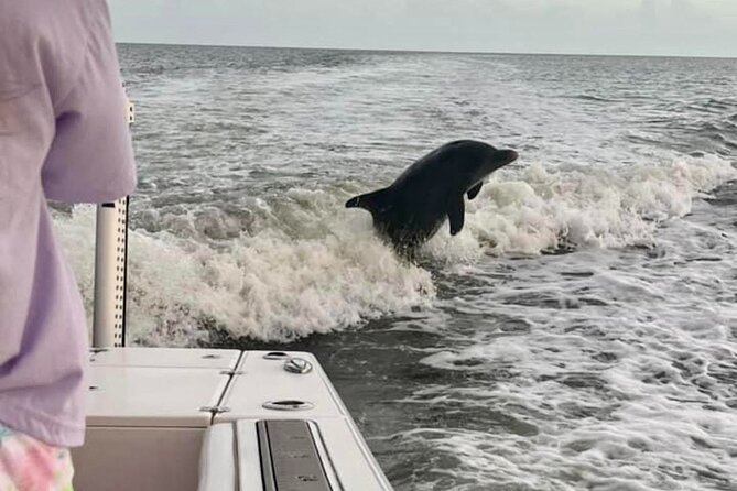 Private 2 Hour Dolphin & Eco Tour Review - Meeting and End Points