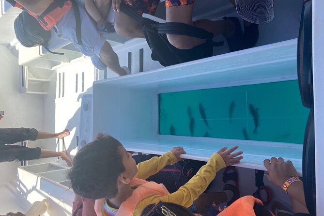 Private 3-Hour Snorkeling Tour With Arch Tour and Beach Time - Cancellation Policy