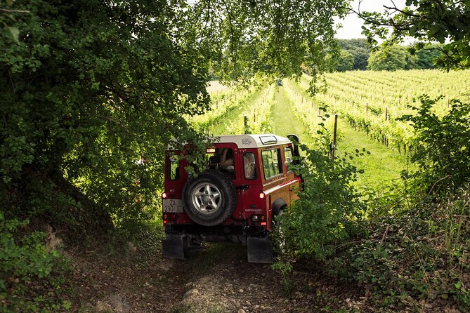 Private 4WD Vineyard Tour With Wine Tasting - Wine and Food Tasting