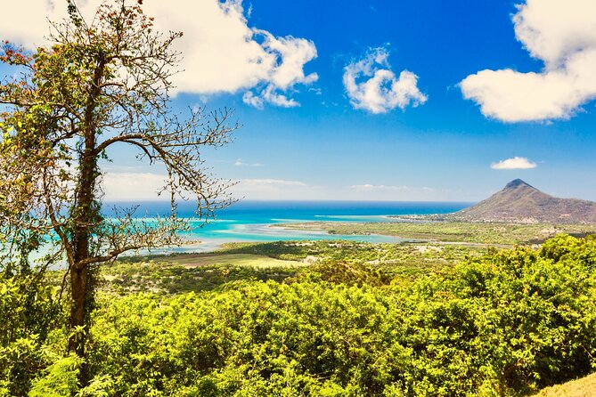 Private 8hr South West RARE Exotic Stops With Lunch - Transportation Details