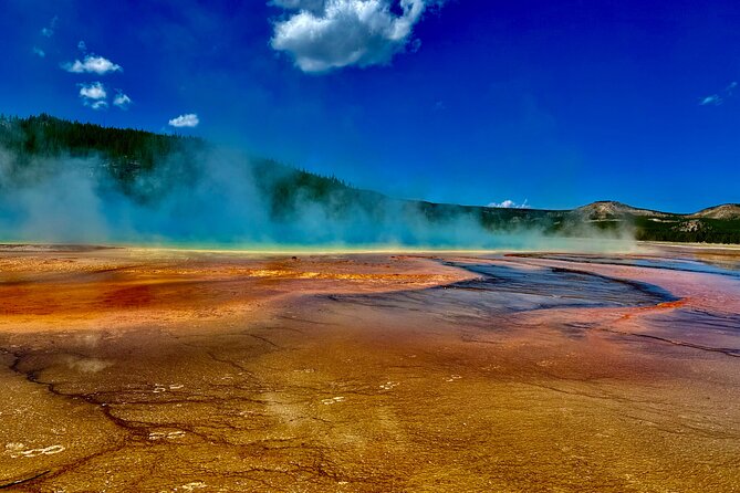 Private All-inclusive Yellowstone Lower Loop"The Volcano" Tours - Customer Reviews and Experiences