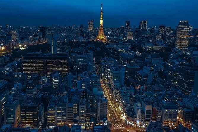 Private Amazing Tokyo Night Tour With English Speaking Driver - Accessibility and Participation