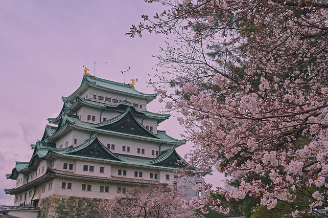 Private Arrival Transfer Chubu Centrair International Airport to Nagoya City - Confirmation and Cancellation Policy