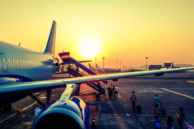 Private Arrival Transfer : Narita International Airport to Tokyo Disney - Baggage Policy