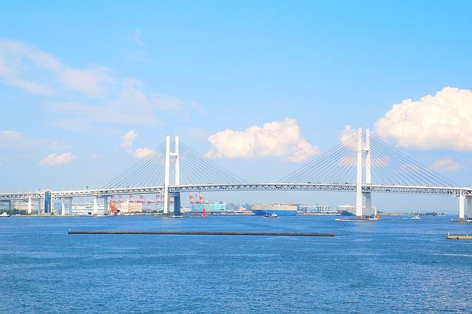 Private Arrival Transfer : Narita International Airport to Yokohama City - Transfer Process